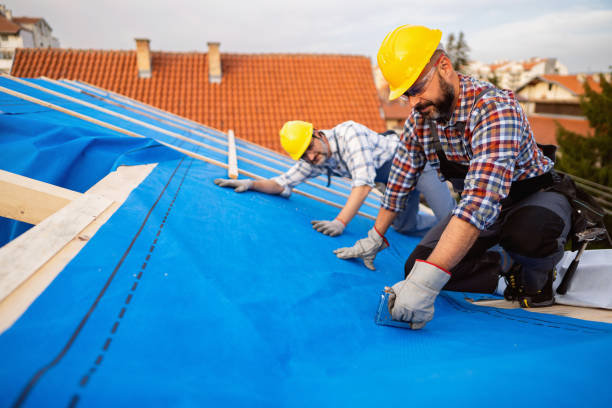 Best Sealant for Roof  in Chesterland, OH